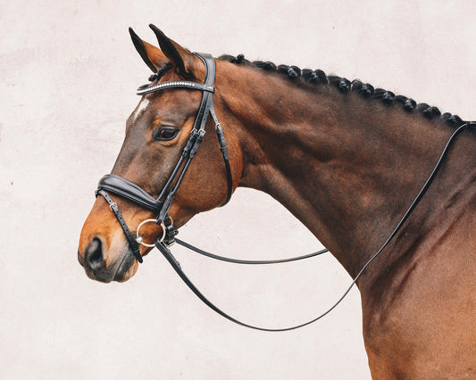 Malibu Bridle