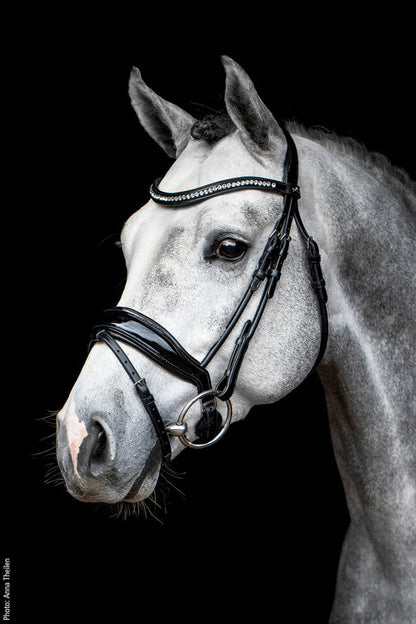 Malibu Bridle