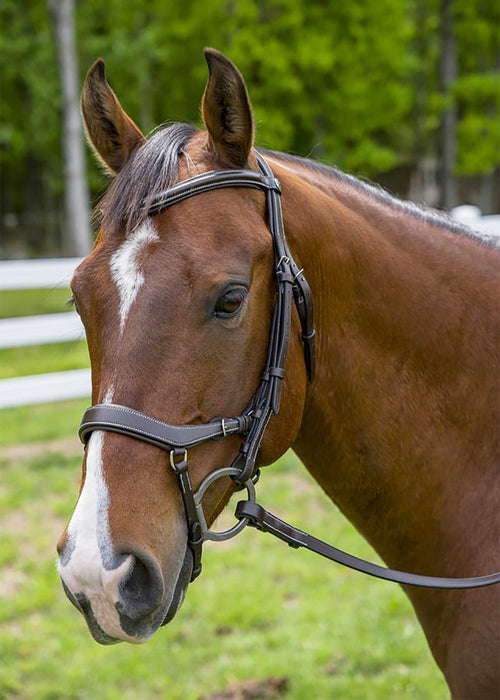 Pro Anatomical Bridle