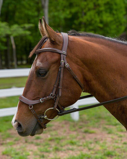 Pro Anatomical Bridle