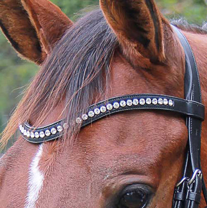 by Vespucci Contoured Browband with Crystals