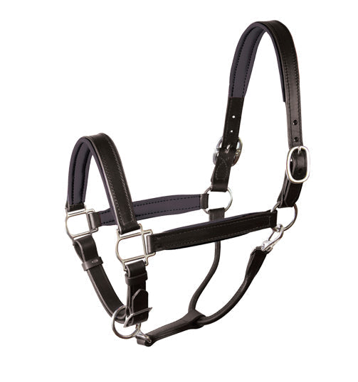 Padded Leather Halter Crownpiece