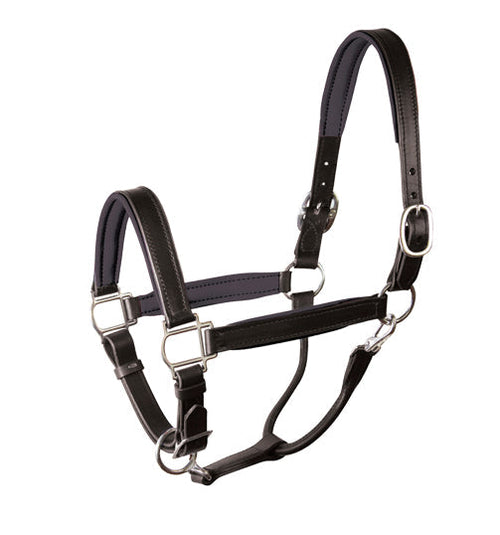 Padded Leather Halter Crownpiece