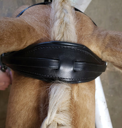 Stübben Patent Switch Combo Bridle