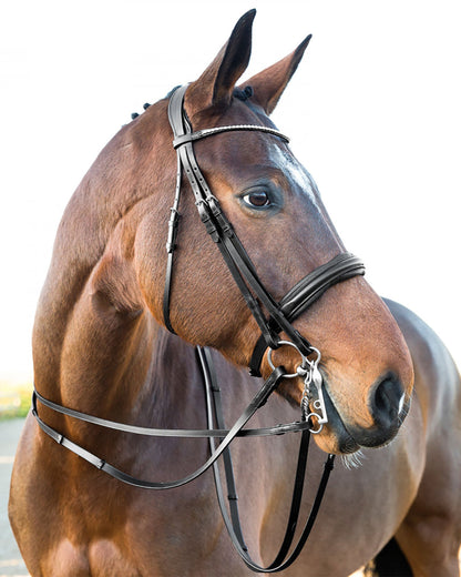 Vienna Weymouth Dressage Bridle
