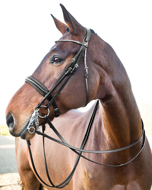 Vienna Weymouth Dressage Bridle