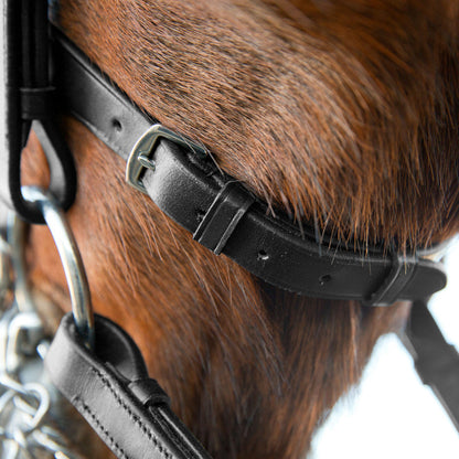 Vienna Weymouth Dressage Bridle
