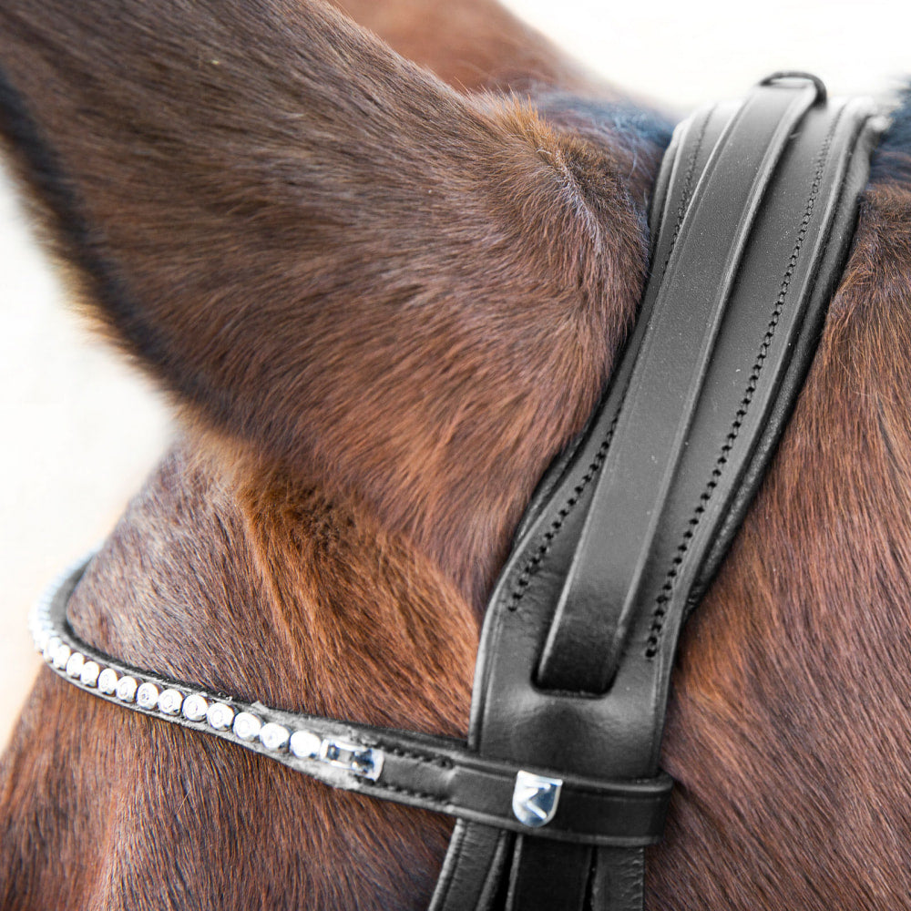 Vienna Weymouth Dressage Bridle