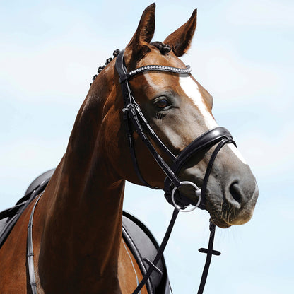 Atlas Snaffle Bridle