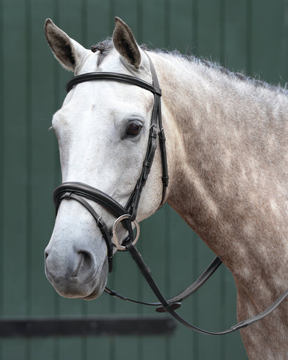 Essential Padded Raised Flash Bridle
