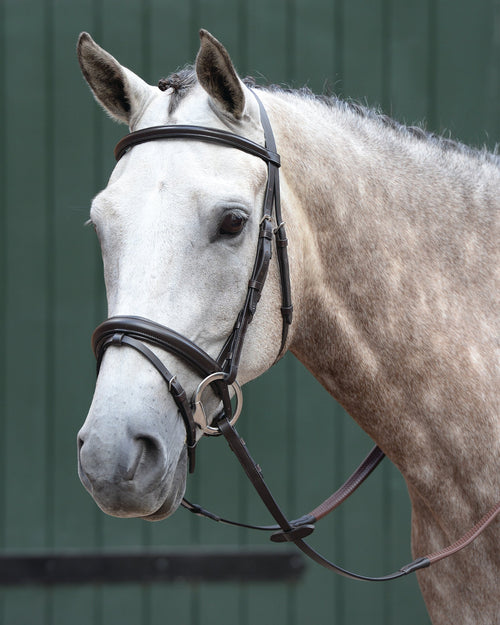 Essential Padded Raised Flash Bridle