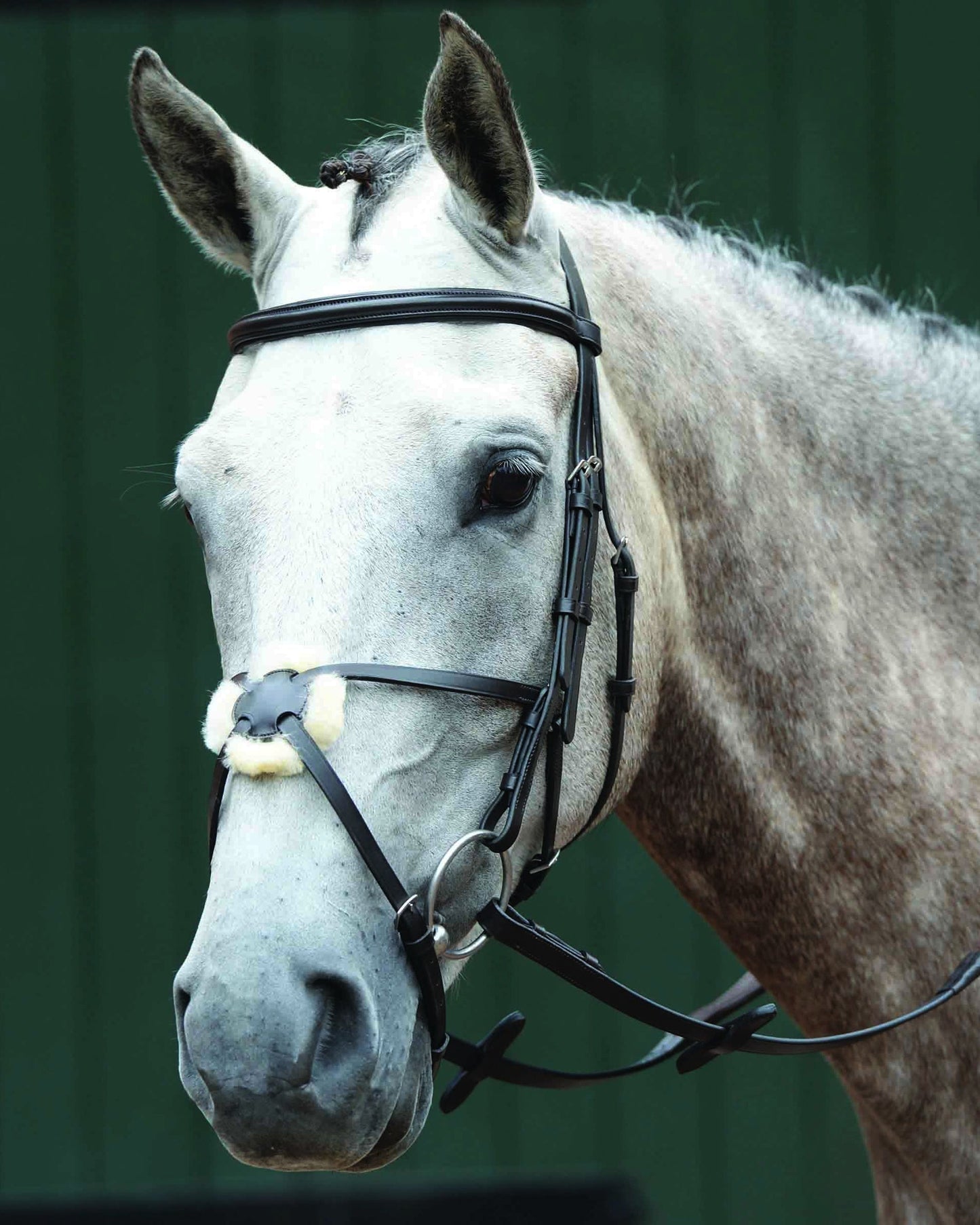 Essential Padded Raised Figure-8 Bridle
