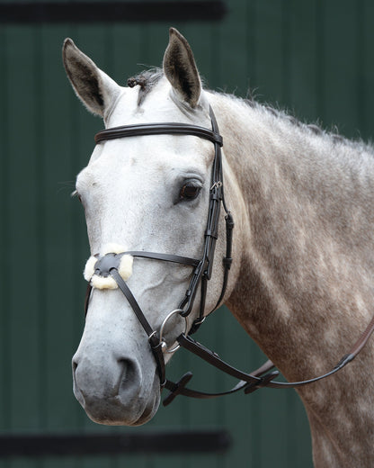 Essential Padded Raised Figure-8 Bridle