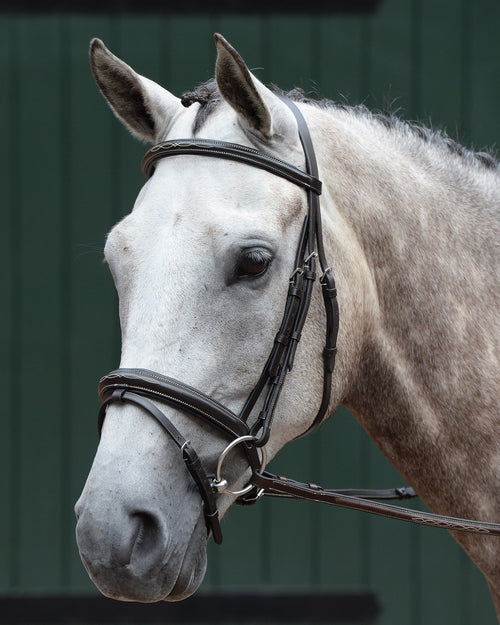 Essential Padded Raised Fancy-Stitched Flash Bridle