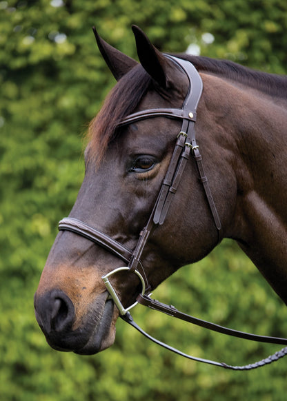 Ergonomic Hunter Bridle
