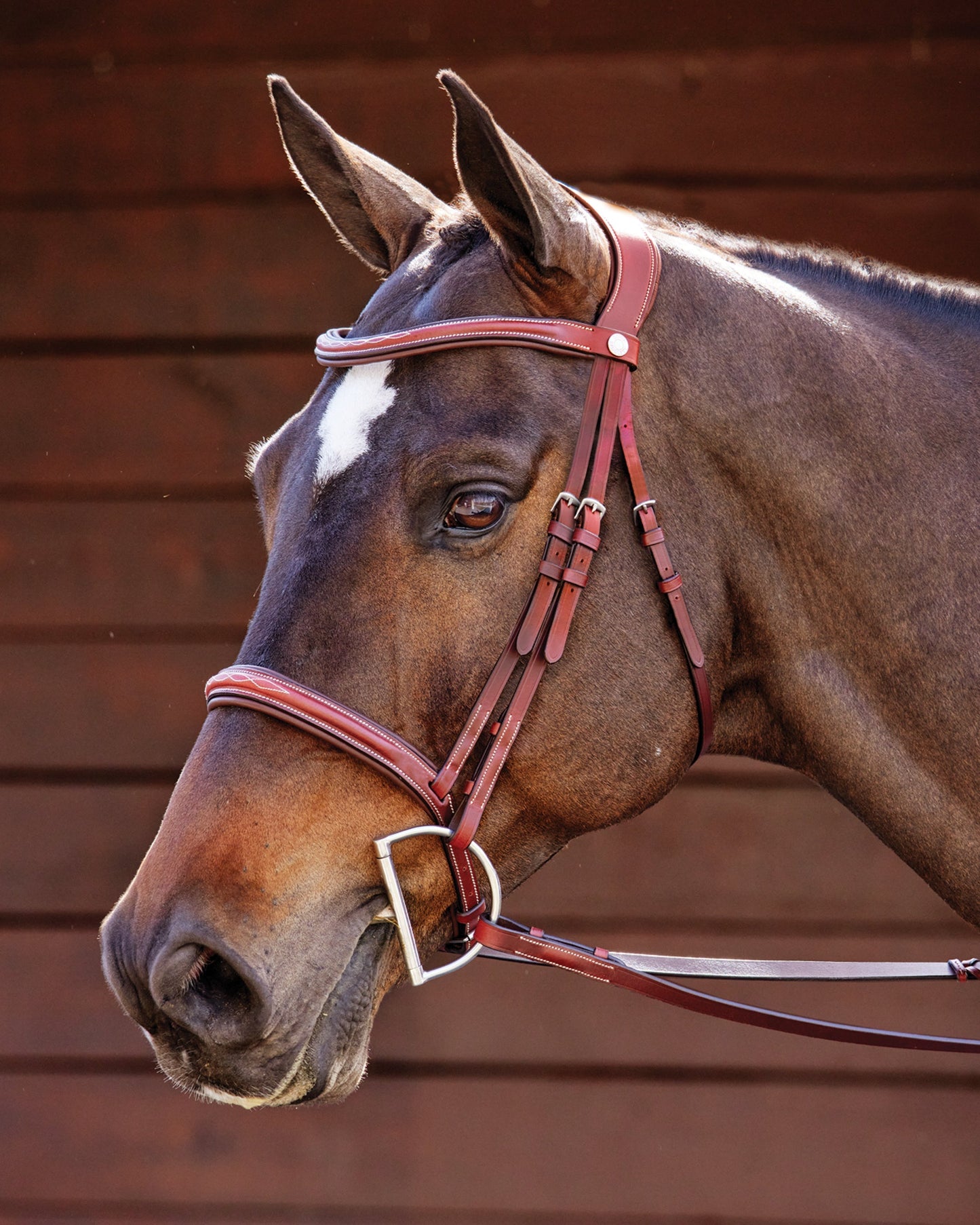 Ergonomic Hunter Bridle