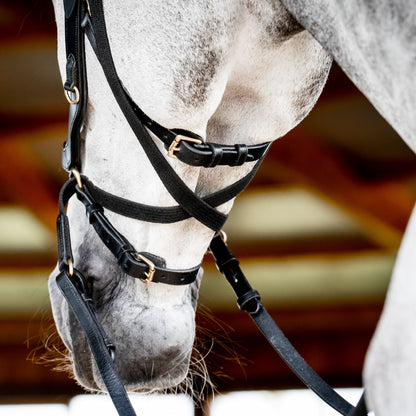 Ireland Micklem2 Multibridle USA with Reins