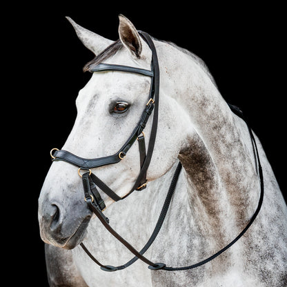 Ireland Micklem2 Multibridle USA with Reins