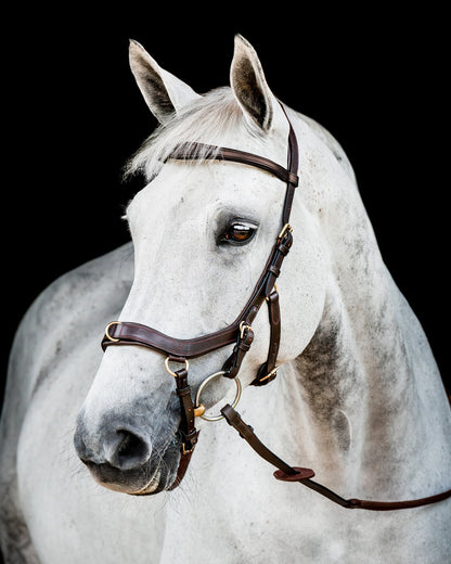 Ireland Micklem2 Multibridle USA with Reins