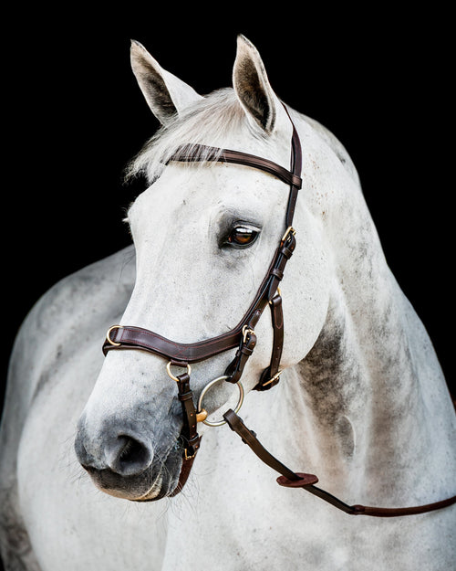 Ireland Micklem2 Multibridle USA with Reins