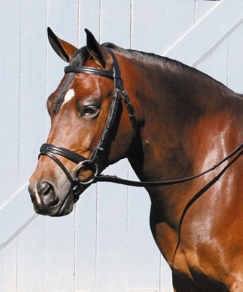 Deluxe Padded Dressage Bridle with Buckle Bit Ends