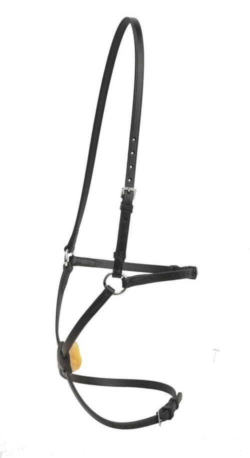 Figure-8 Noseband with Stainless Steel Rings
