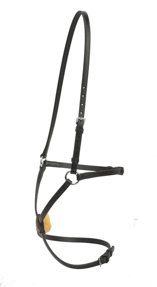 Figure-8 Noseband with Stainless Steel Rings