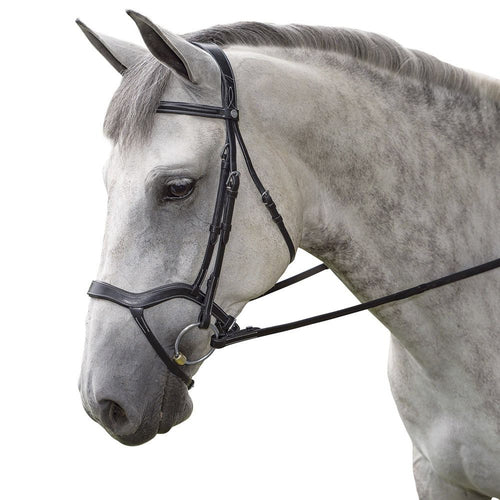 Hybrid Dressage Bridle