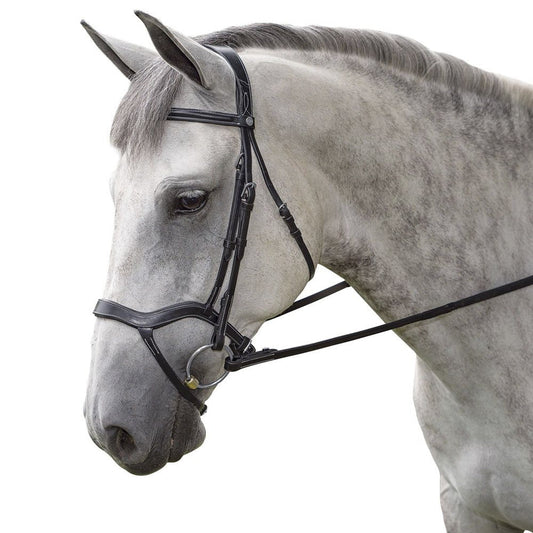 Hybrid Dressage Bridle