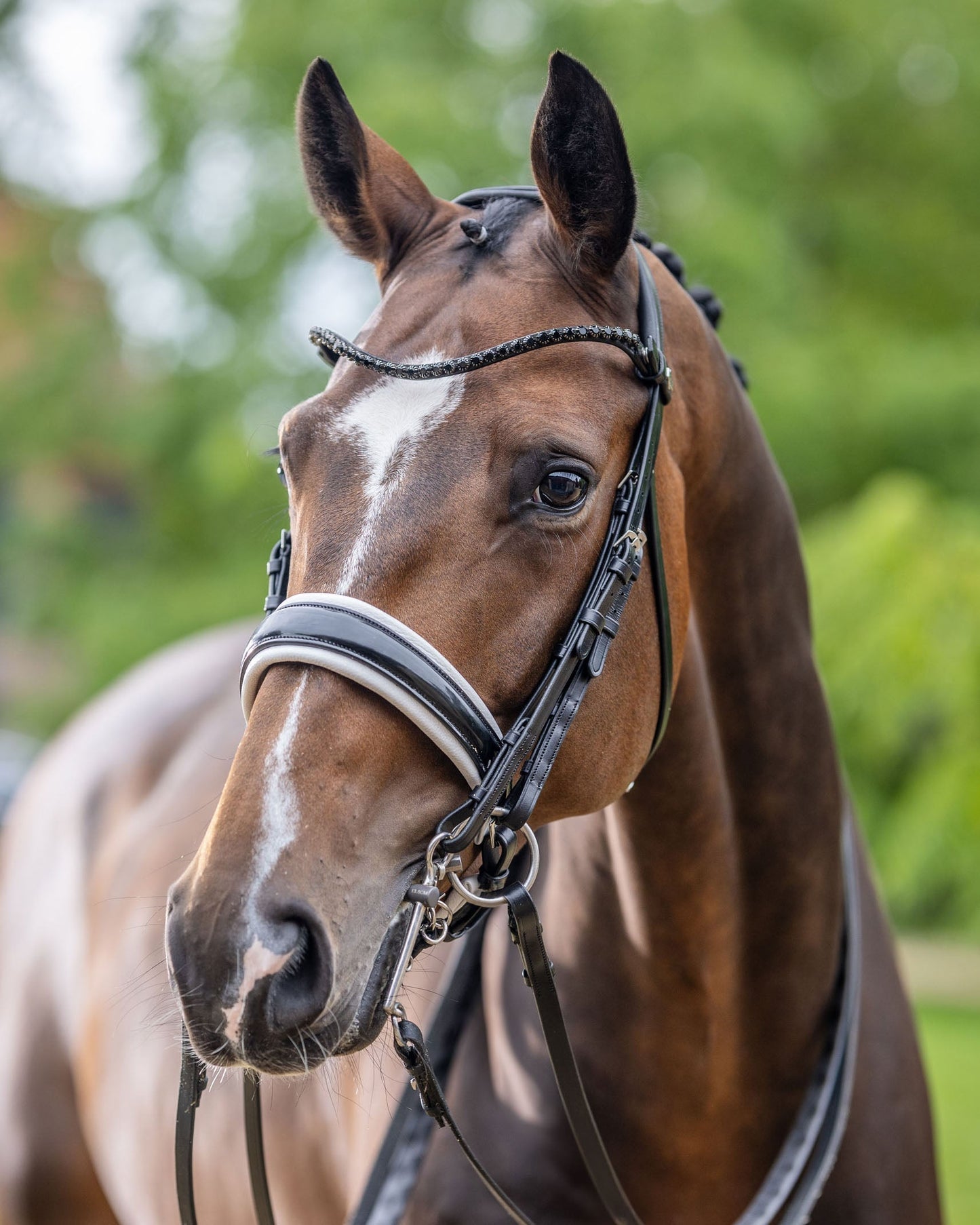 Kudos Patent Double Bridle