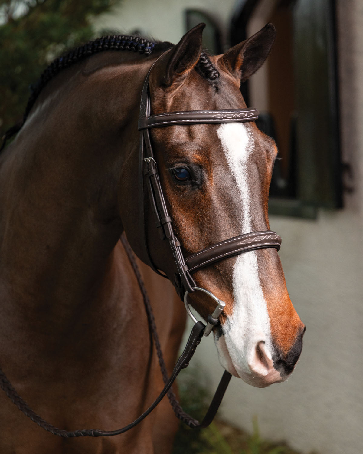 Hunter-Stitched Bridle