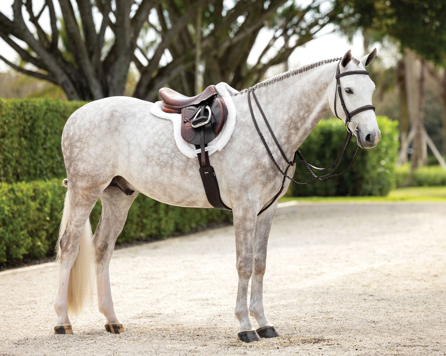 Hunter-Stitched Bridle