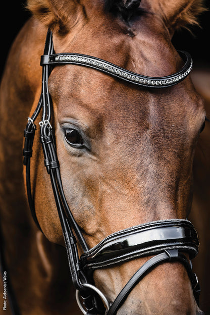 Standford Glam Bridle