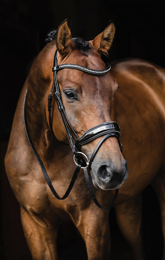 Standford Glam Bridle