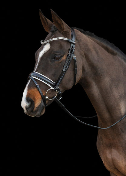 Malaga Bridle