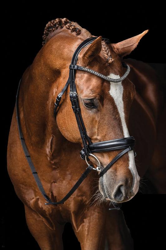 Malaga Bridle