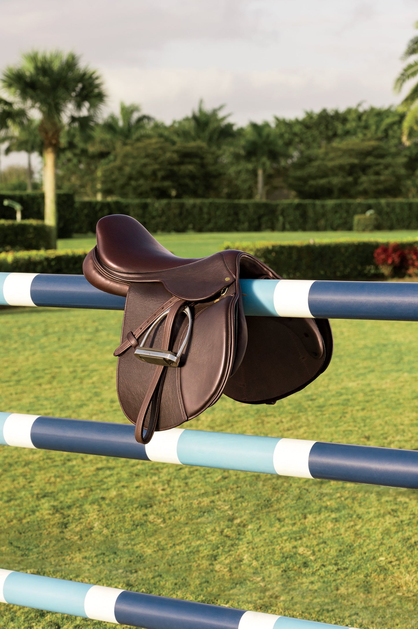 Debut Saddle