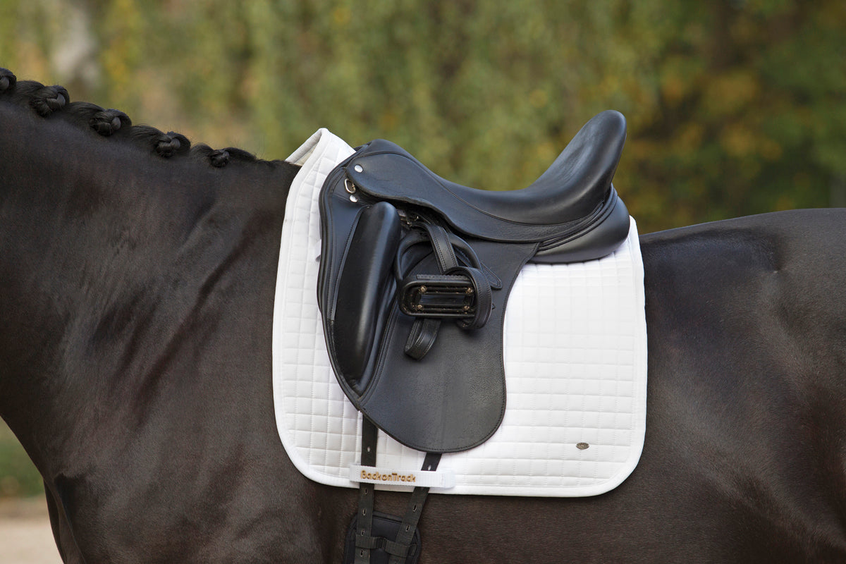 Dressage Pad