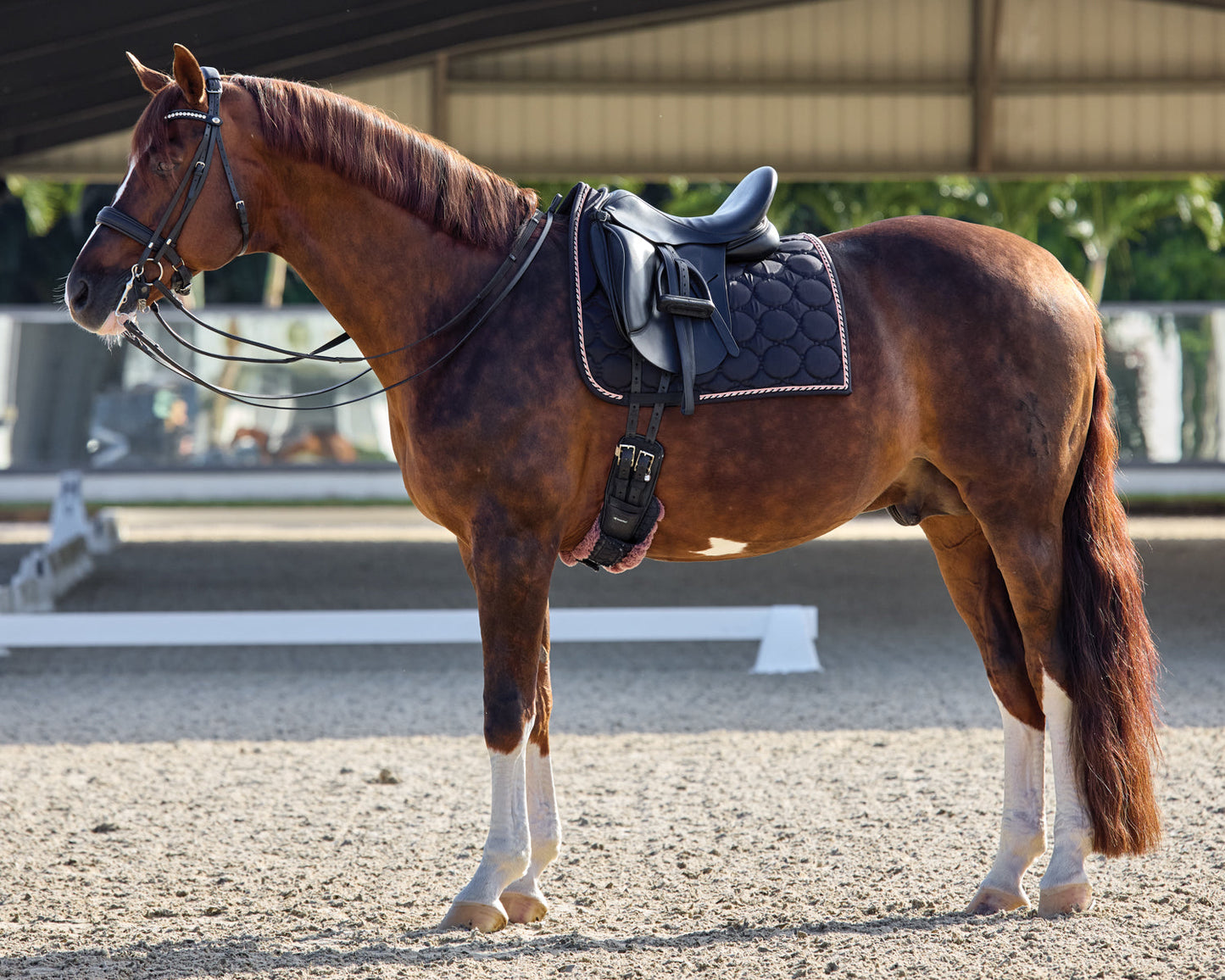 Luxury Dressage Pad