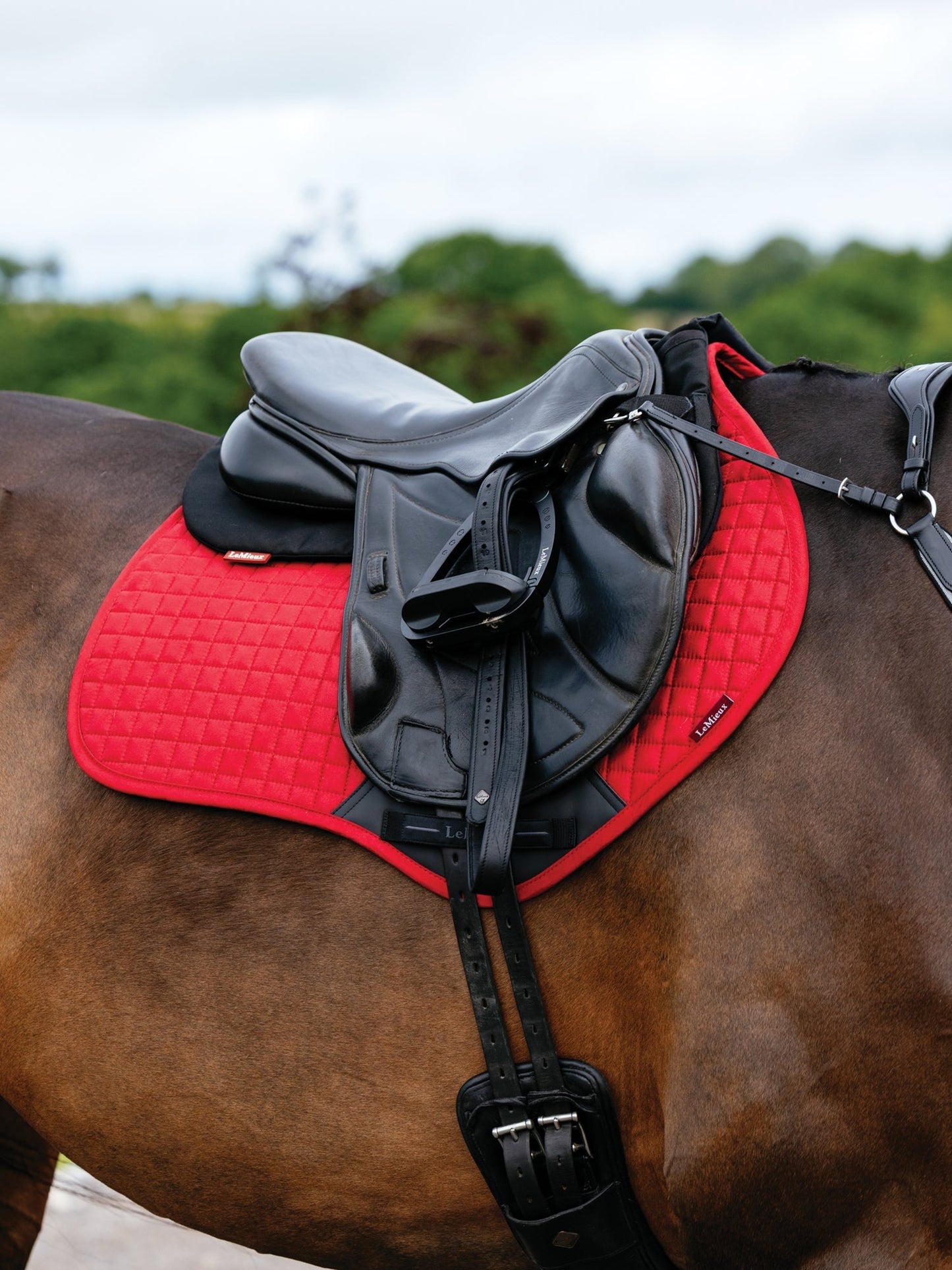 Suede Close Contact Saddle Pad