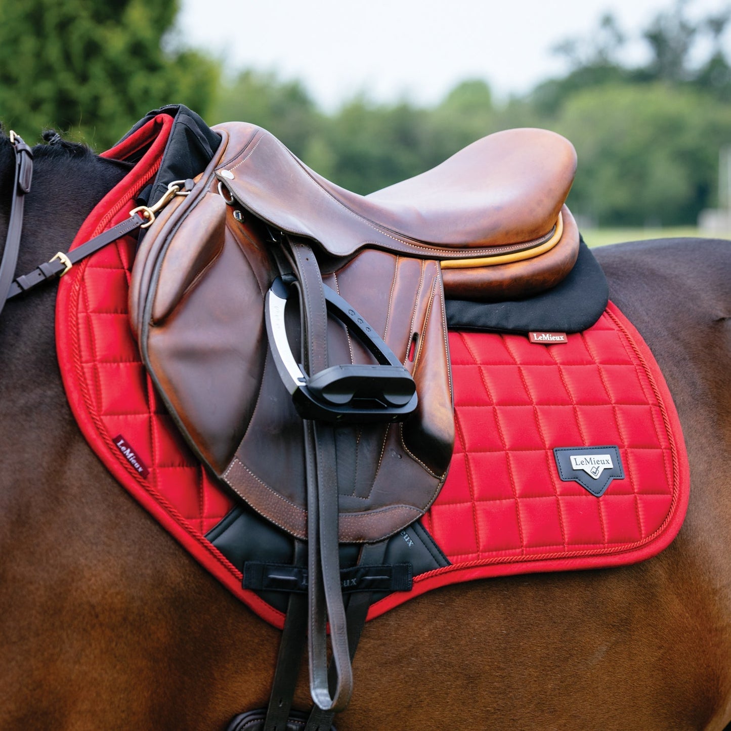 Loire Satin Classic Close Contact Saddle Pad