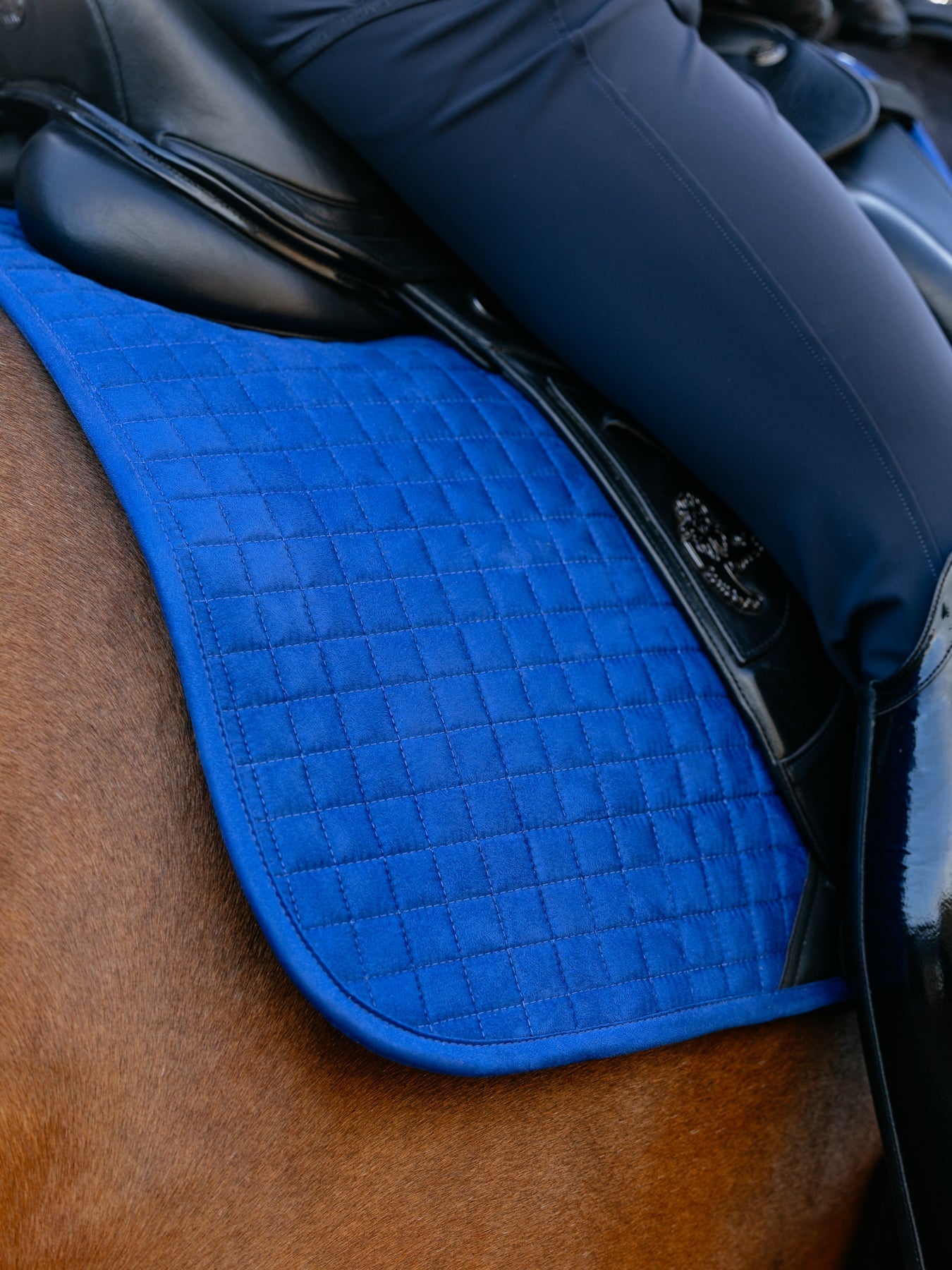 Suede Dressage Saddle Pad