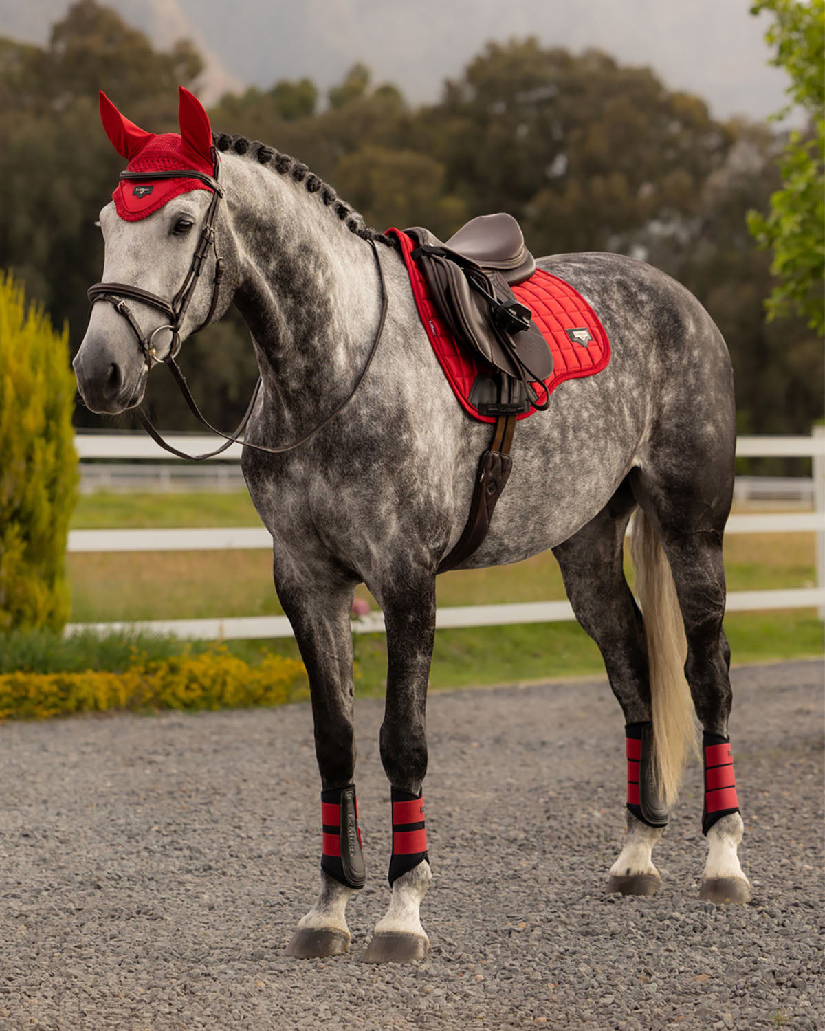 Loire GP Saddle Pad