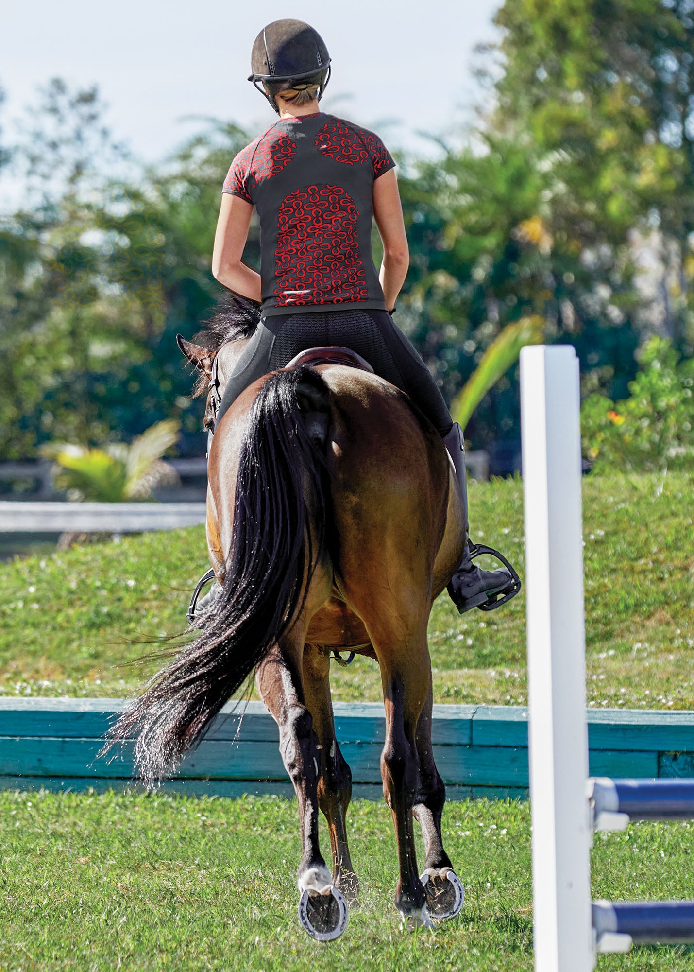 Ladies’ Fusion Short Sleeve Shirt