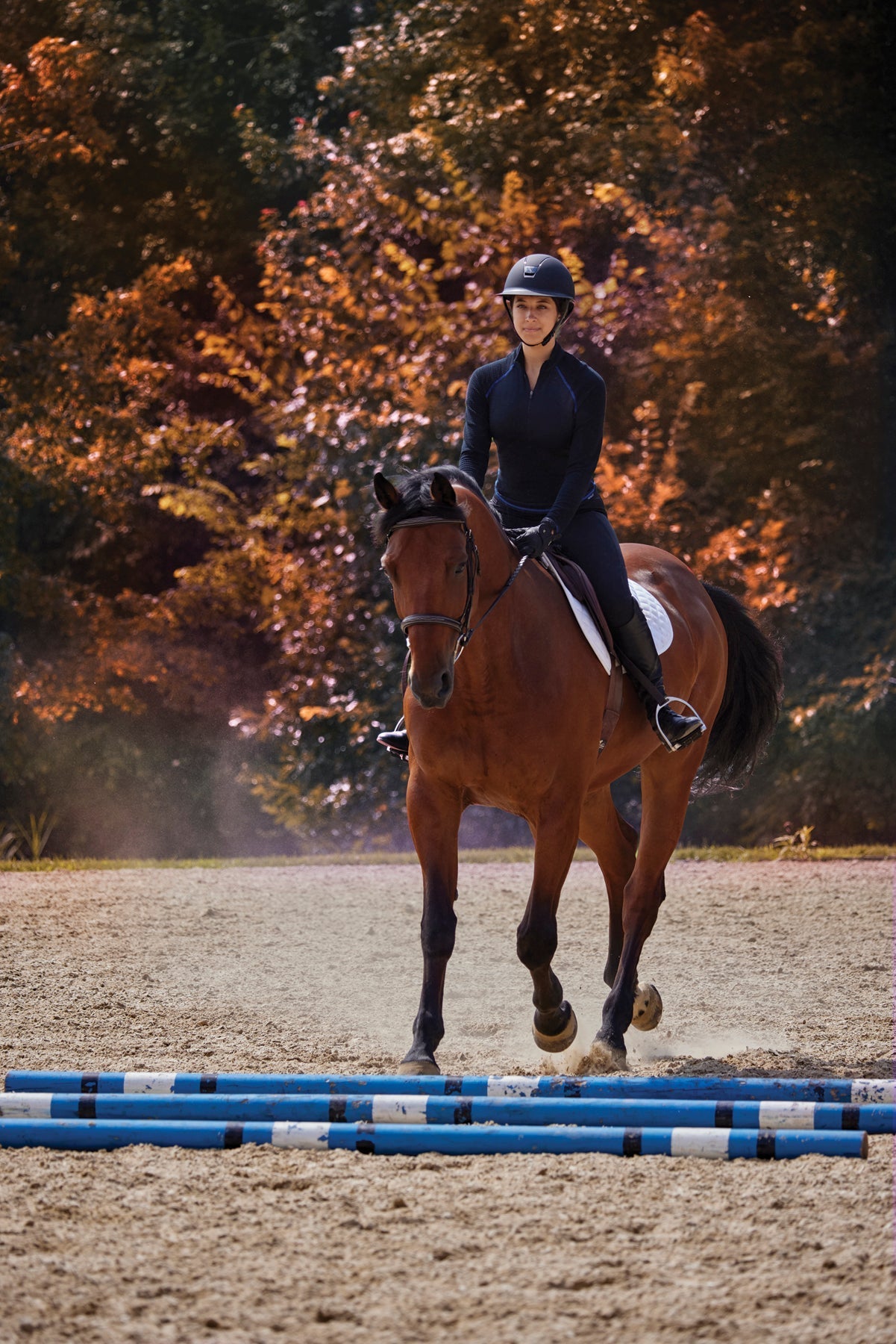 Ladies’ Vitality Knee-Patch Breech