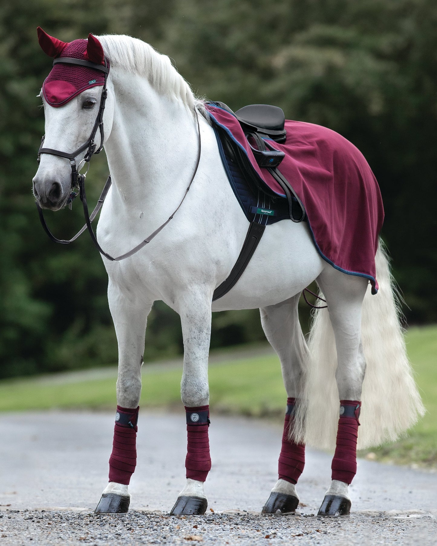 Waterproof Fleece Competition Sheet