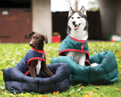 Waterproof Dog Blanket