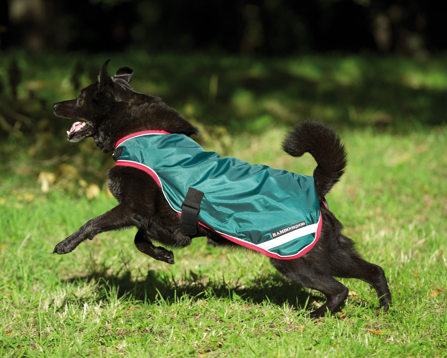 Waterproof Dog Blanket