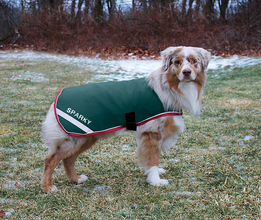Waterproof Dog Blanket