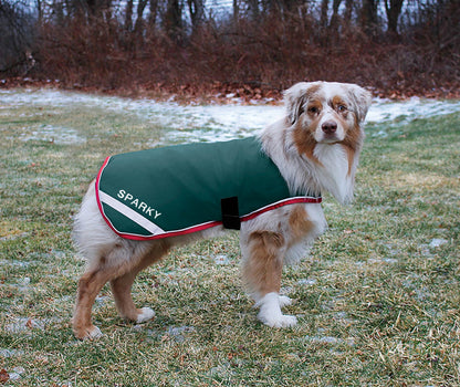 Waterproof Dog Blanket